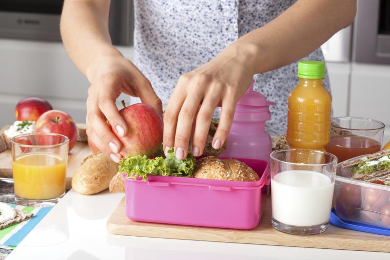 Great Healthy Meal ideas for Kids at School