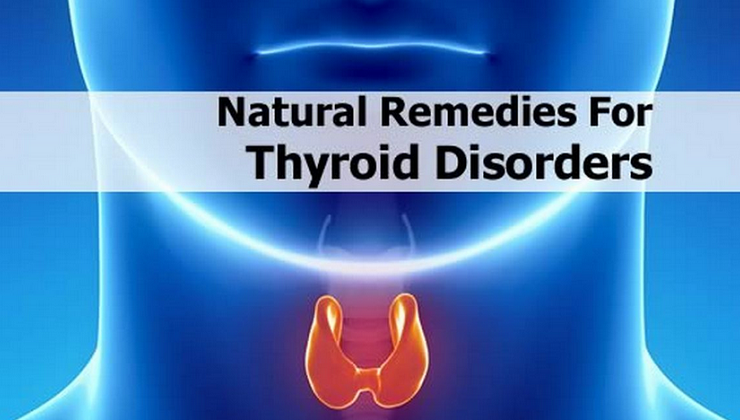 7 Natural Herbs for every Thyroid Condition