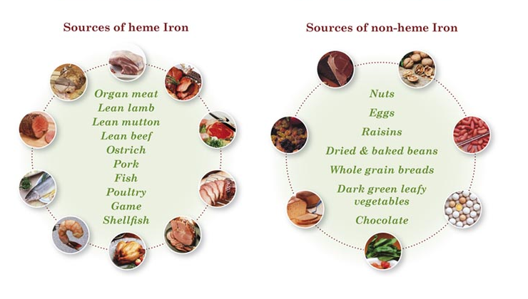 Foods that you didn’t know were sources of Iron