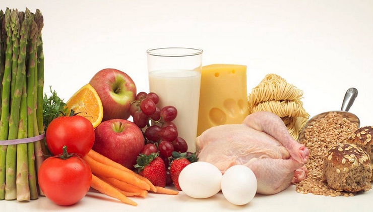 List of Foods high in Protein