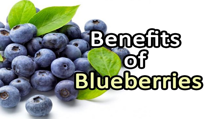 7 Health Benefits of Blueberries