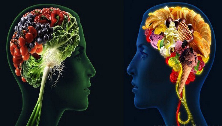 Brain Foods that help you Concentrate