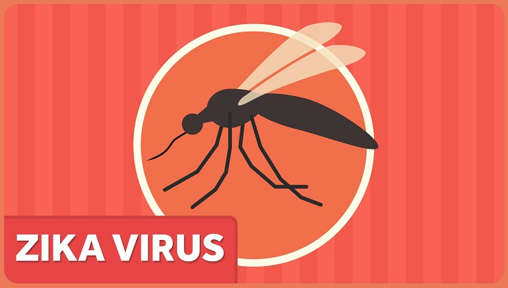 What is Zika? What should you do about it?