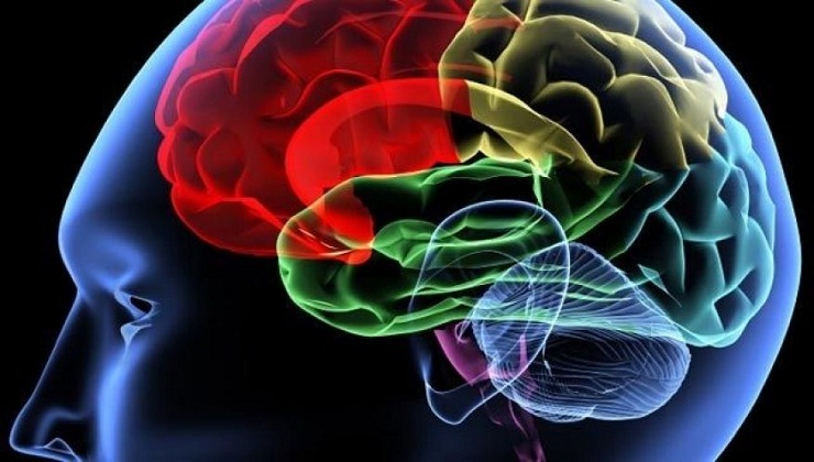 Speaking more than two Languages has a Protective Effect on Memory