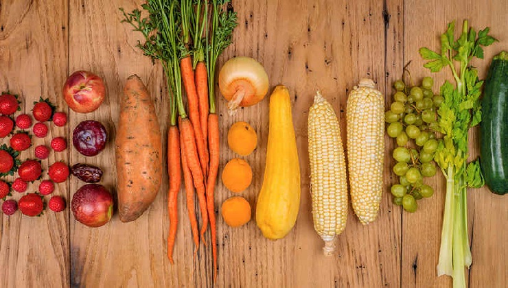 Why it’s Hard to Lose Weight—and Why most Diets Fail