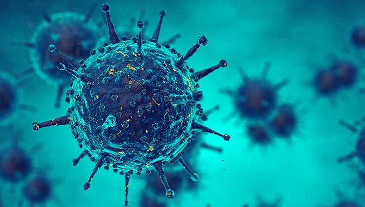 Scientists just ‘rediscovered’ a drug that’s effective against two Human Viruses