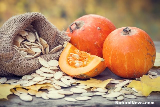 7 Healthy Seeds you should Eat Everyday