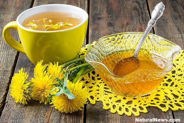 Dandelion Tea great for Detox and Preventing Cancer