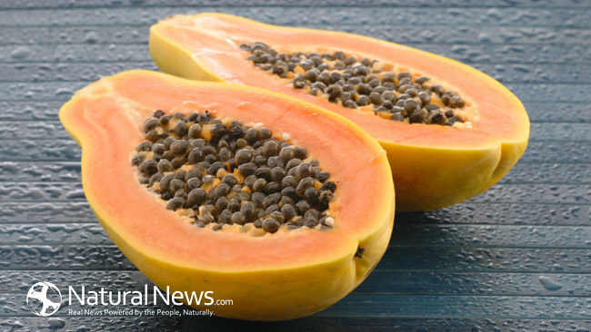 Papaya Seeds Detoxify Liver & Kidneys, fights Cancer and helps with Digestion