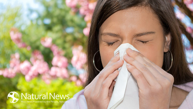 8 powerful Herbal Treatments for Allergy Relief