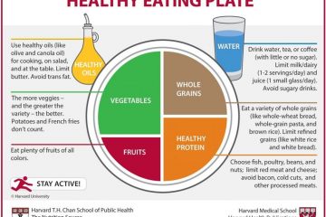 Healthy Eating Guidelines from Food Pyramids around the World