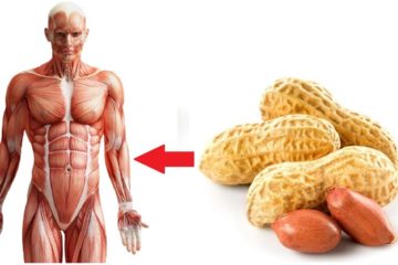 What Happens to Your Body When You Start Eating Peanuts Every Day