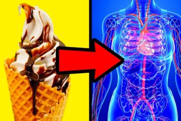 What If You Stopped Eating Sugar for 1 Week