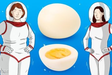 Lose Weight and Belly Fat with Easy 13-Day Astronaut’s Diet