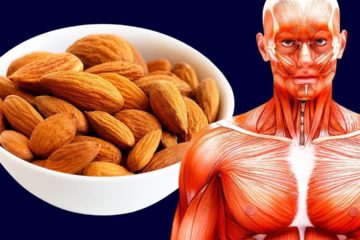 What Will Happen to You If You Eat 20 Almonds Every Day?