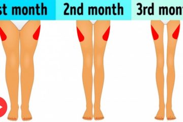 3-Minute Workout before Sleep to slim down your Legs