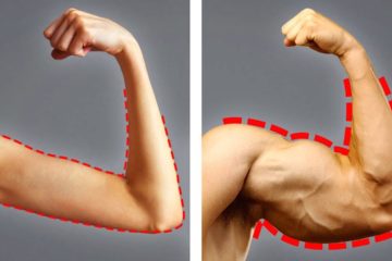 19 Foods to Build Muscle and Gain Weight Faster