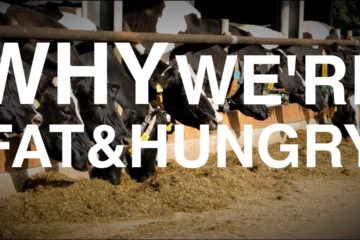 Why we get Fat and Hungry | (Biology of Weight Gain & Low-Carb )