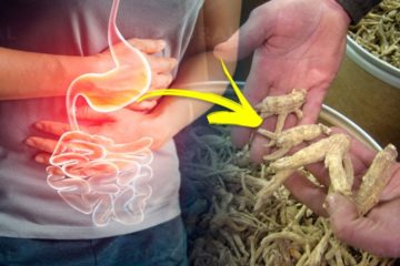 5 Effective Home Remedies for Gastritis that give Instant Relief