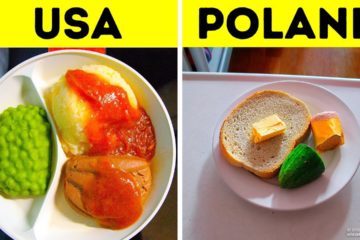 20 Drastically Different Hospital Food from around the World