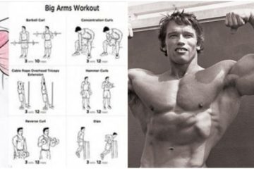 8 Best Dumbbell Exercises