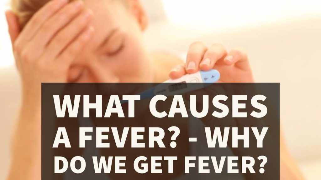 What causes a Fever?