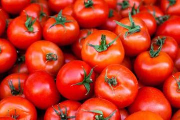 Eat one Tomato a Day, see why it’s Good for You