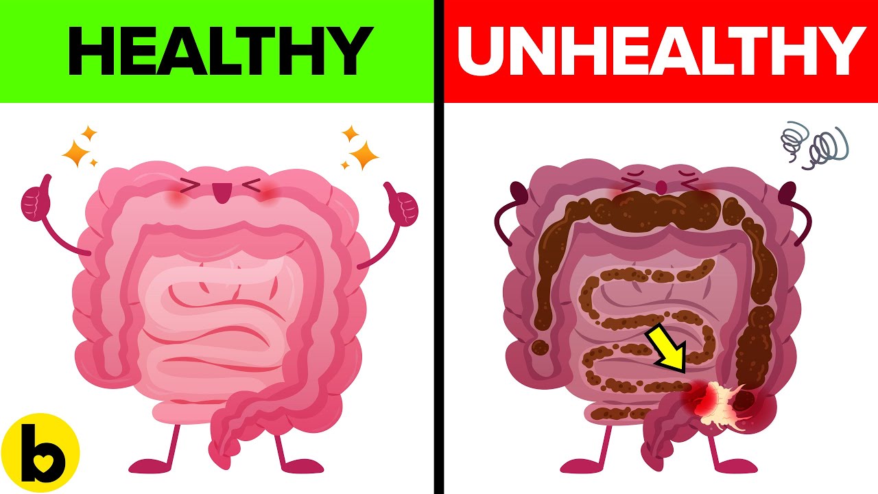 11 Ways to clean Gut Bacteria Sports Health & WellBeing