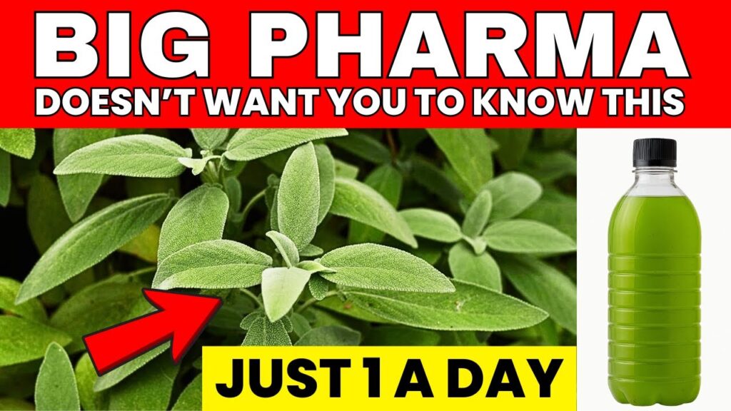 Just 1 Leaf Destroys Diabetes, Belly Fat and Bad Cholesterol (Backed by Science!)