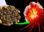 One Food Activates Your Anti-Cancer Shields Naturally