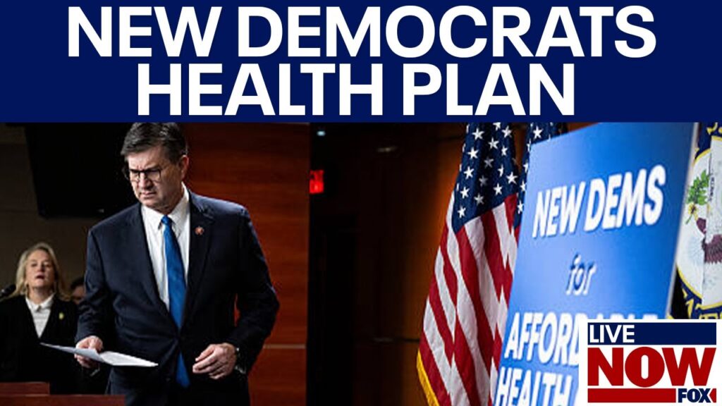 New Dems unveil health care action plan